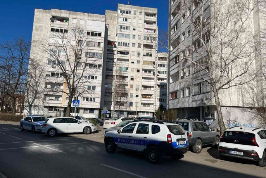 Милица Диљевић признала кривицу за убиство у Бањалуци