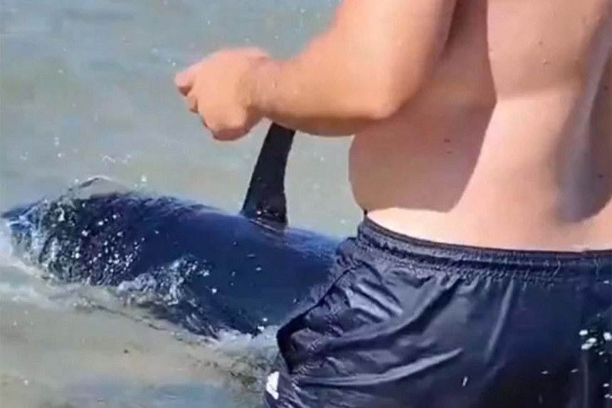 Drama u Grčkoj: Kupači izletjeli iz mora kada su ugledali ogromna peraja