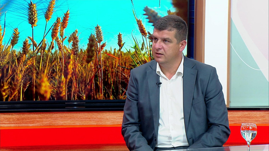Жетва пшенице почиње, откупне цијене нема