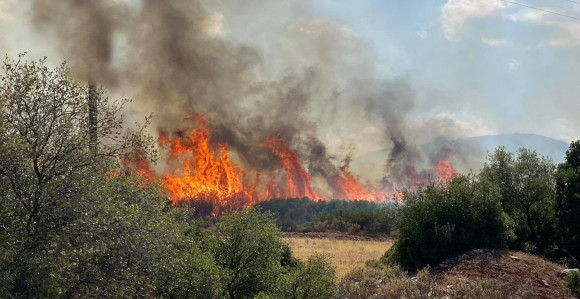 Bukte šumski požari u Grčkoj, poginuo muškarac (VIDEO)
