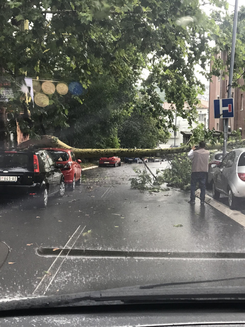 Nevrijeme napravilo haos u Beogradu, oborena stabla