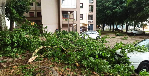 Olujno nevrijeme jutros pogodilo Trebinje (FOTO)