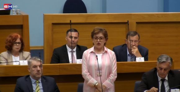 Vidović: Zakon o bankama uskladiti sa zakonom od IRB