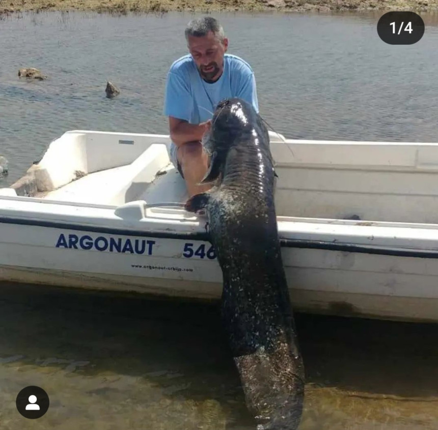 Trebinjac ulovio soma od 58 kg u Bilećkom jezeru