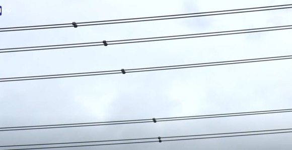 Milioni Amerikanaca bez struje - oluja oborila dalekovode