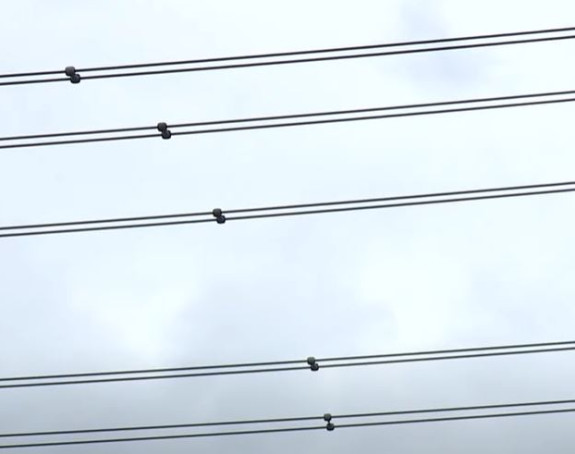 Milioni Amerikanaca bez struje - oluja oborila dalekovode