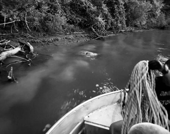 Tijelo mladića izvučeno iz rijeke Save kod Bijeljine