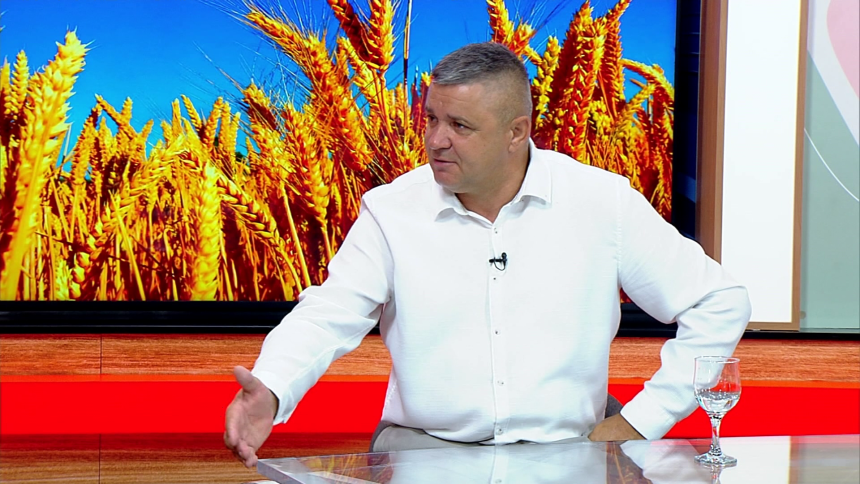 У овим условима пшеницу више нећемо сијати