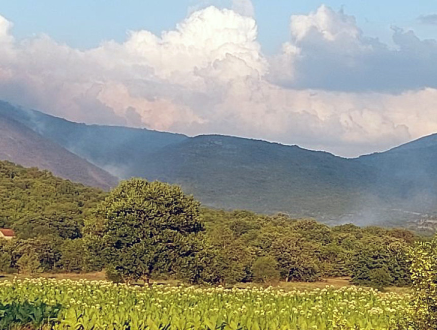 Vatra zaustavljena na 300 metara od kuća u Ljubinju