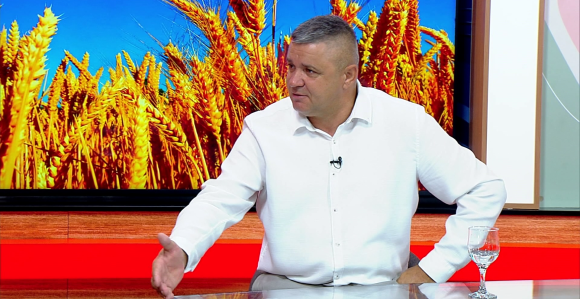 U ovim uslovima pšenicu više nećemo sijati