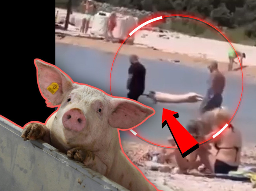 Prase na ražnju osolili u moru!? (VIDEO)
