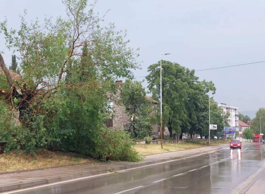 Sela na području Bileće i Gacka bez struje (VIDEO)