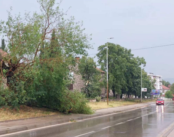 Sela na području Bileće i Gacka bez struje (VIDEO)