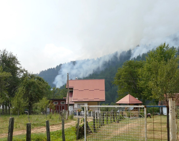 Vatrena stihija guta borovu šumu kod Višegrada