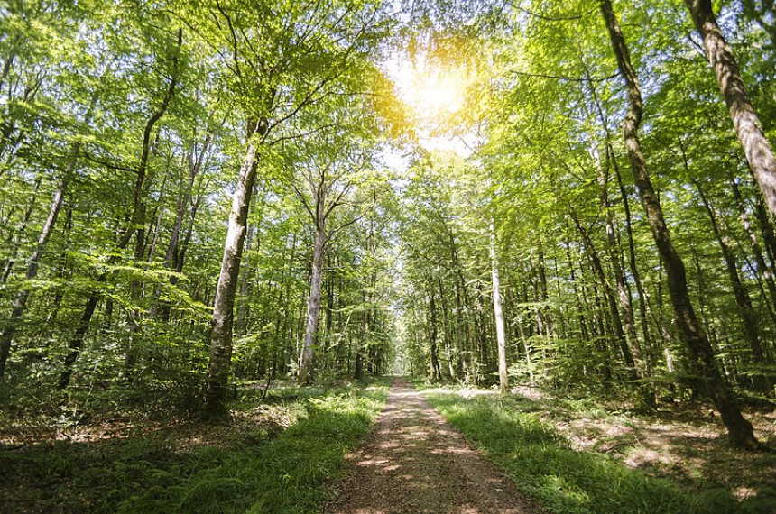 Danas pretežno sunčano i toplo, najviše do 36 °C