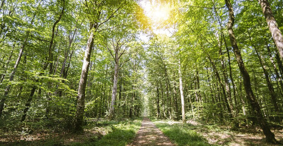 Danas pretežno sunčano i toplo, najviše do 36 °C