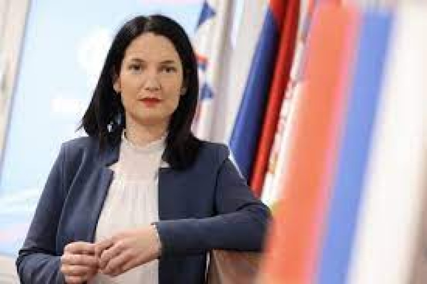 Trivić: Ovo je unosan posao za djecu pojedinih političara