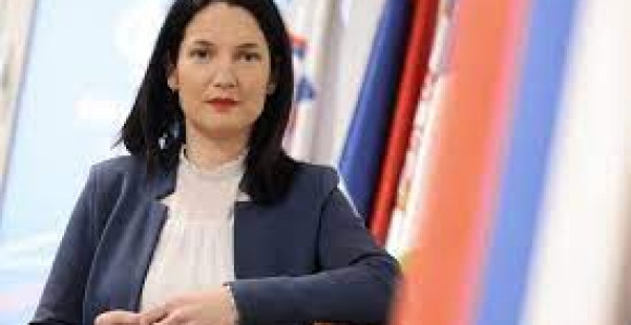 Тривић: Ово је уносан посао за дјецу појединих политичара