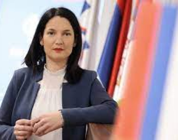 Trivić: Ovo je unosan posao za djecu pojedinih političara