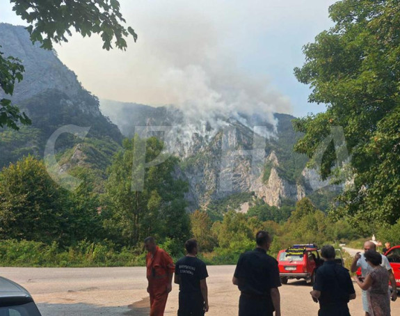 Savjet ministara BiH zatražio pomoć za gašenje požara