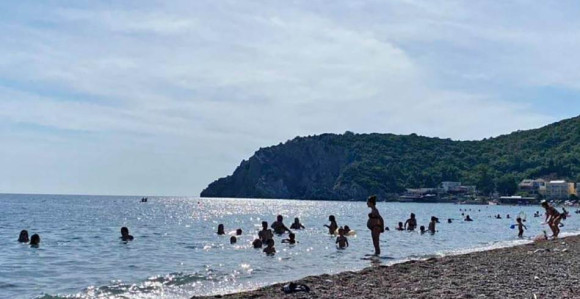 Morski ZEKAN: Neobično stvorenje na plaži u CG