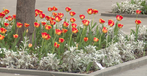 Данас топло и нестабилно, киша могућа на истоку