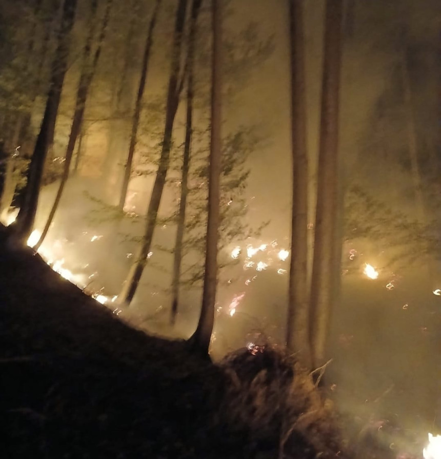 Buknuo novi požar na Majevici, gori na lokalitetu Busije