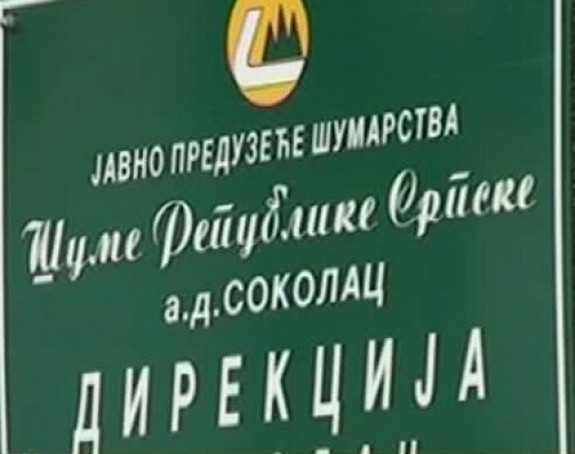"Šume Srpske" na izdisaju, evo ko je odgovoran