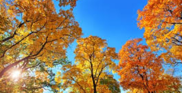 Danas sunčano uz umjerenu oblačnost, do 33 stepena