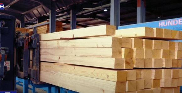 Apsurd: Bogati smo šumom, a masovno se uvozi sirovina