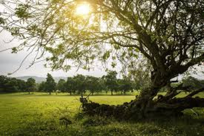 Danas pretežno sunčano i prijatno toplo vrijeme