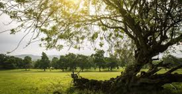 Danas pretežno sunčano i prijatno toplo vrijeme