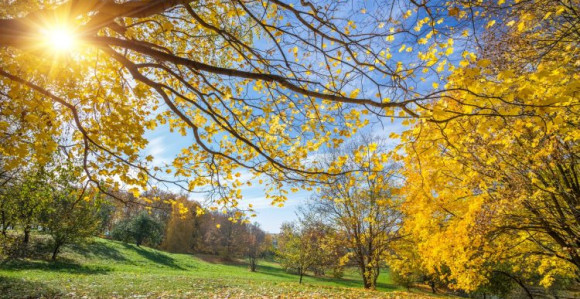 Kalendarski jesen počela u 14 časova i 43 minuta