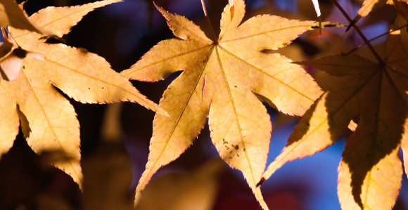 Danas pretežno sunčano i toplo vrijeme u Srpskoj