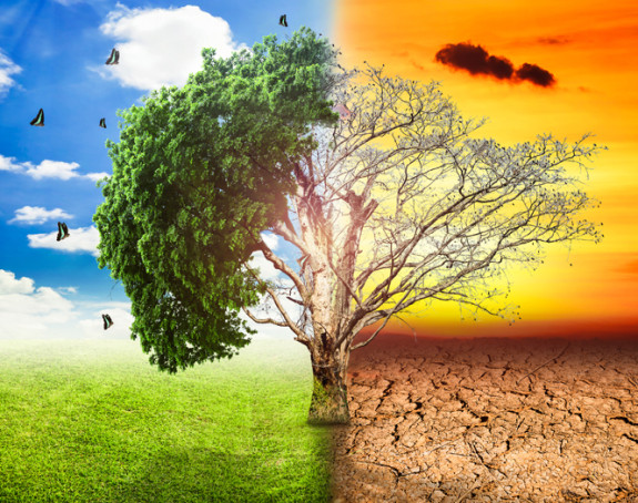 "BiH ne smije stajati i čekati - počnimo se prilagođavati"