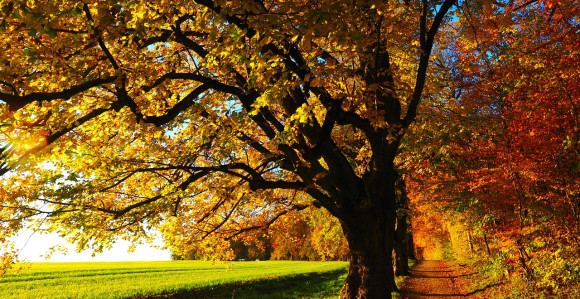 Sunčan jesenji dan, temperatura i do 25 stepeni