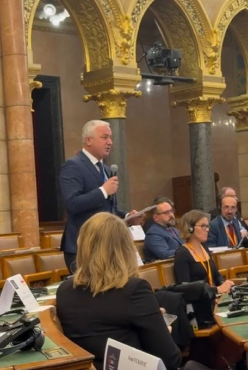 Borenović na 72. plenarnom zasjedanju COSAC