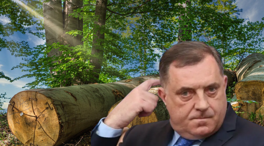 Сјеча кадрова: Додик објавио смјену у "Шумама"