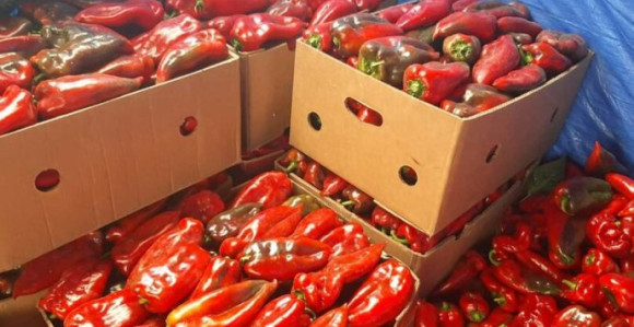 Oprez: Metal opasan po zdravlje u paprikama iz BiH