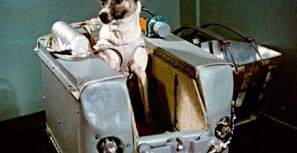 Na današnji dan Lajka se upisala u istoriju (VIDEO)