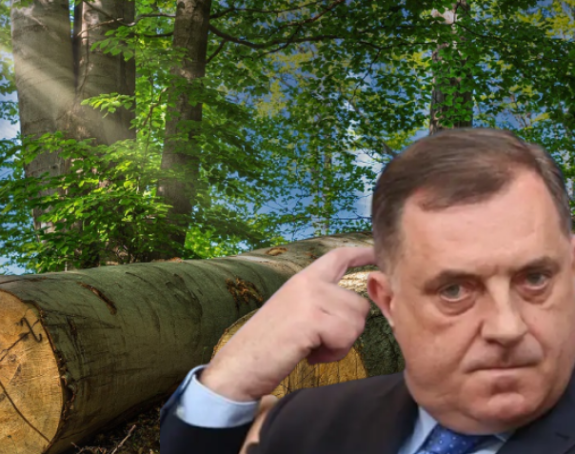 Додик открио: Шуме би биле сасвим уништене да ја то нисам зауставио!