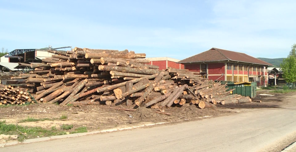 Kome će koristiti najavljeno sređivanje stanja u “Šumama Srpske”? (VIDEO)