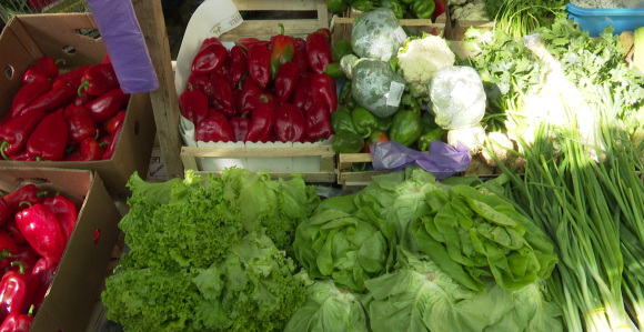 "Možemo da hranimo čitavu BiH ali nema podrške"