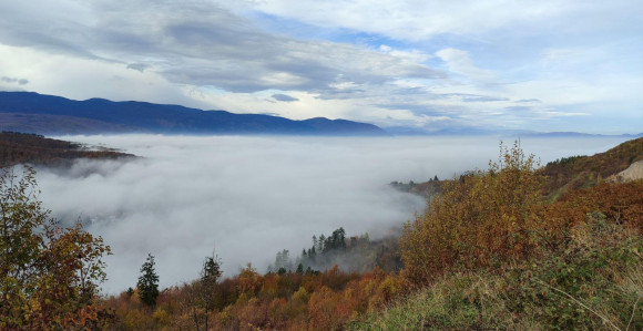 Vlast treba da se ozbiljnije bavi sa zagađenjem gradova