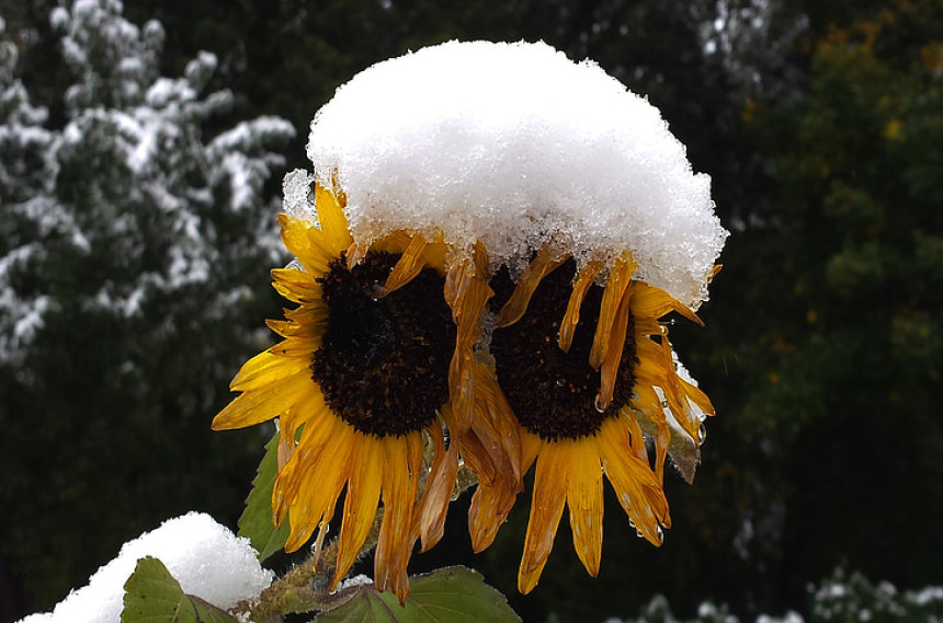 Danas sunce, večeras kiša i snijeg, a narednih dana?