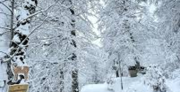 Na Jahorini palo 30 cm snijega, očekuju se nove padavine