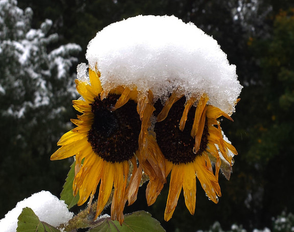 Danas sunce, večeras kiša i snijeg, a narednih dana?