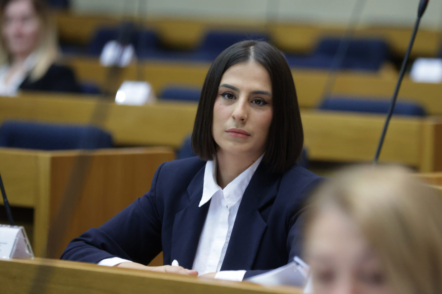 Vlada predlaže zakone koji ugrožavaju privredu?!