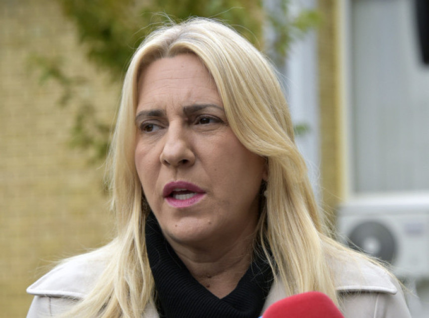 Integracija BiH u EU samo u skladu sa ustavnom strukturom