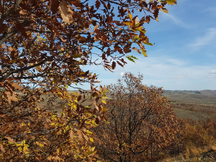 Pretežno sunčano i toplije u odnosu na prethodne dane